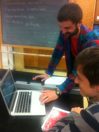 Robin Kodner's students assessing data sets