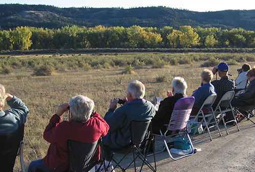 Tourists sitting in chairs, viewing elk in the distance