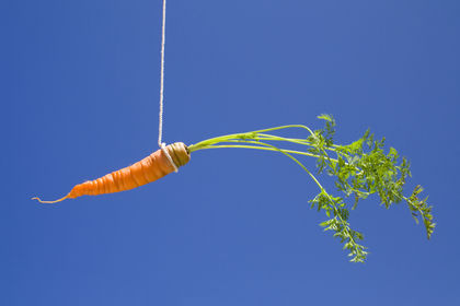 Carrot hanging on a string