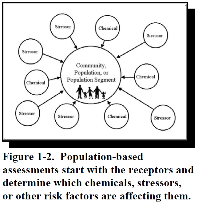 population assessment diagram